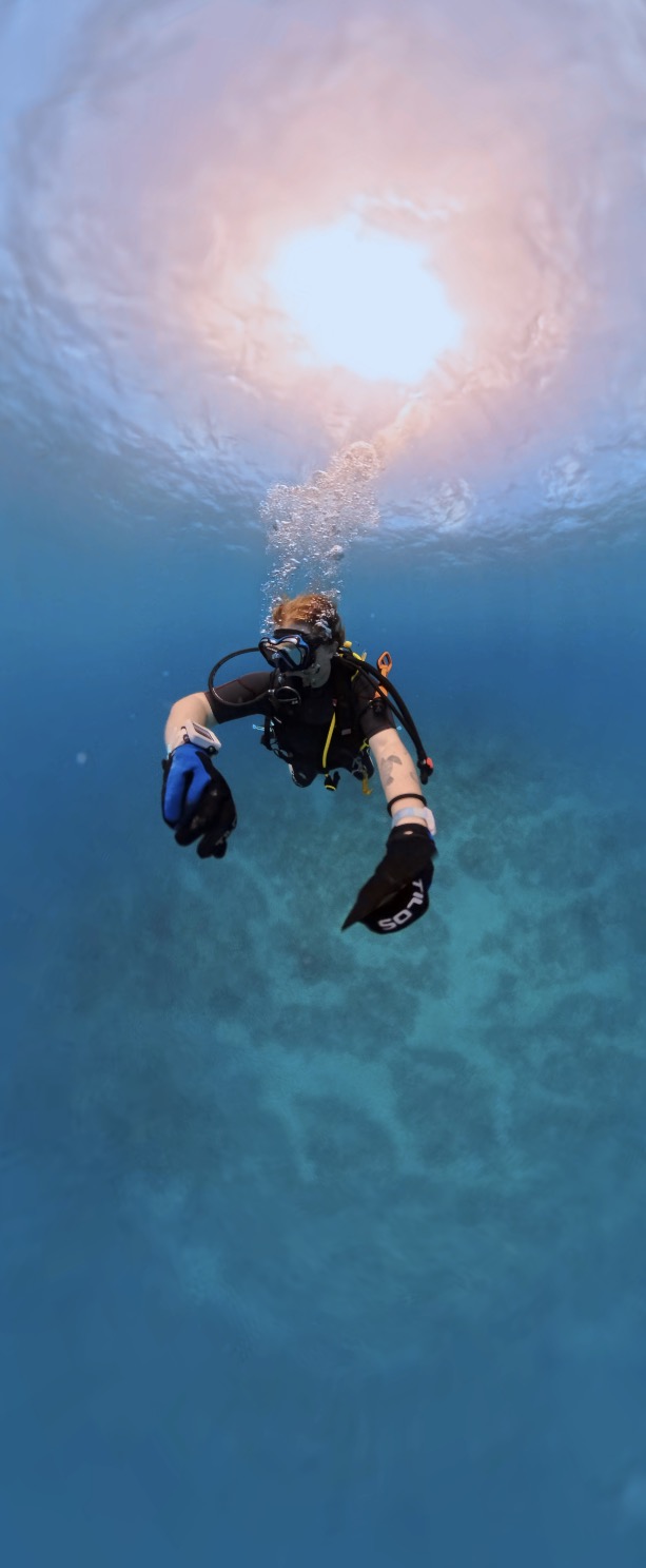 Scuba diver suspended in clear blue water below the sunlit surface